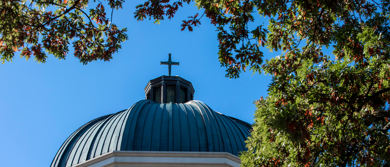 Image of the Walsh Library's dome outside surrounded by tree branches 