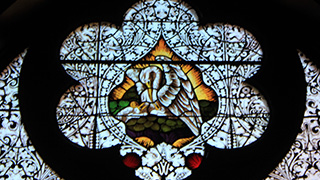 glass-stained-window-pelican