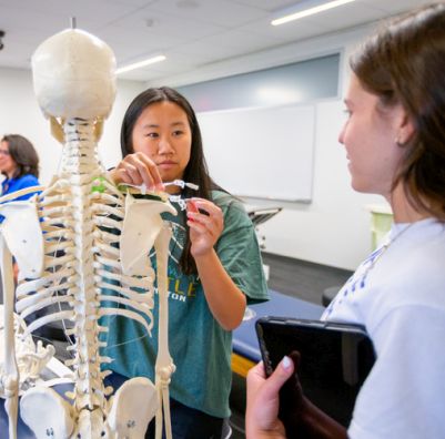 SHU DPT student with a model skeleton