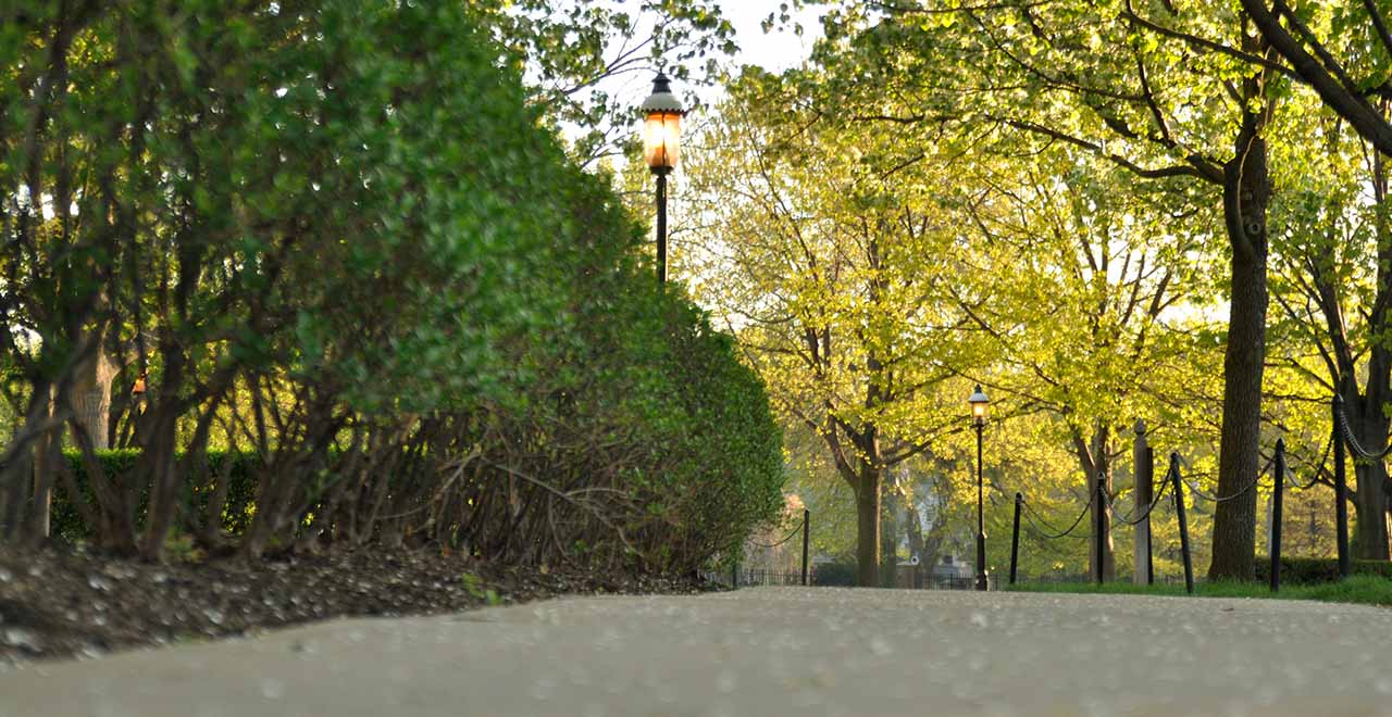 Sidewalk on campus