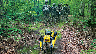 Photographs by Erika Norton - Military personnel in the woods with a robotic dog,
