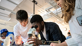 Students in a laboratory