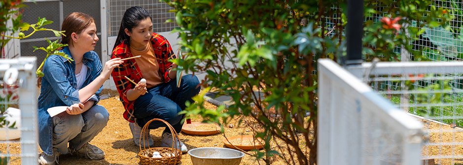 Two students working in a garden. 