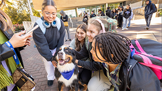 Bob and Helen's beloved dog Eloise